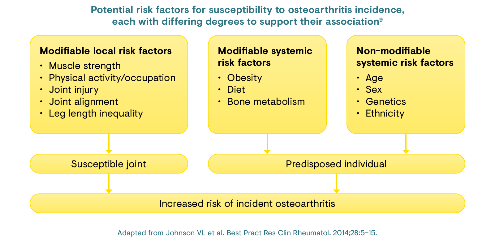 Potential risk factors for susceptibility to osteoarthritis incidence