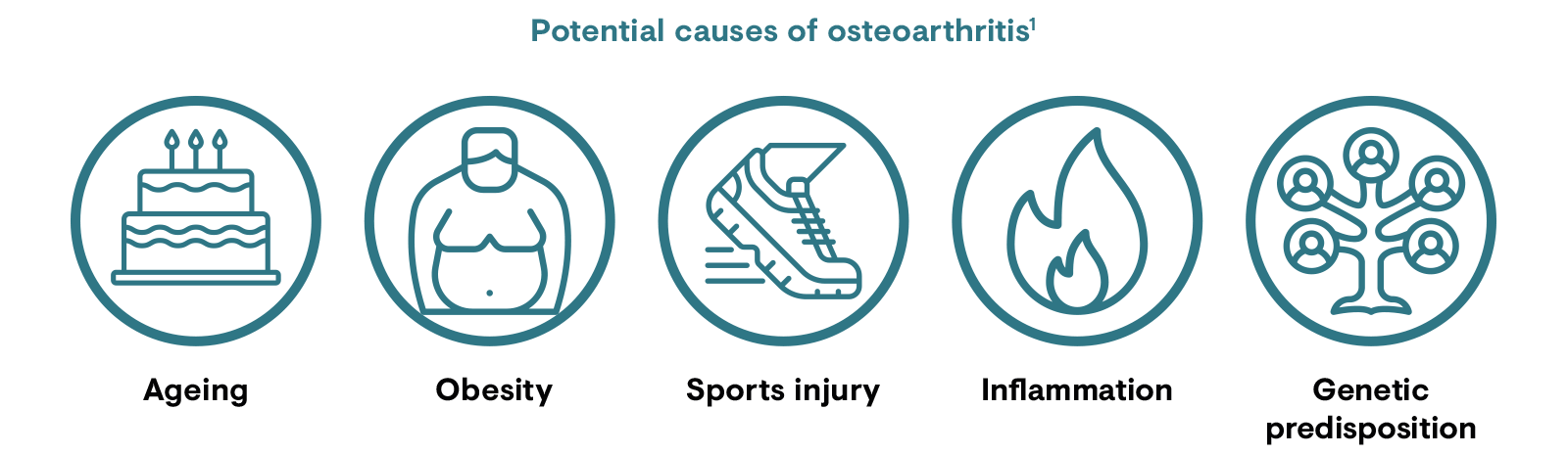Potential causes of osteoarthritis